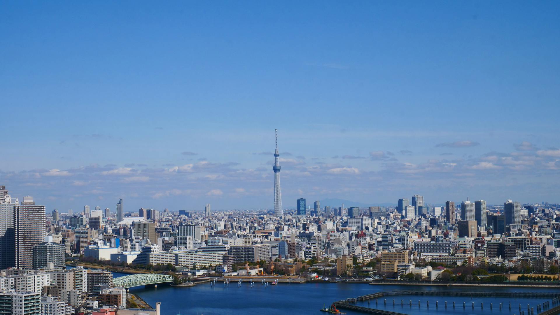 Birds Eye View of Tokyo