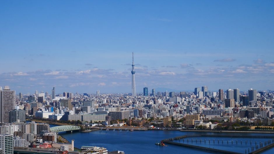 A breathtaking aerial view of Tokyo's skyline featuring the iconic Tokyo Skytree.