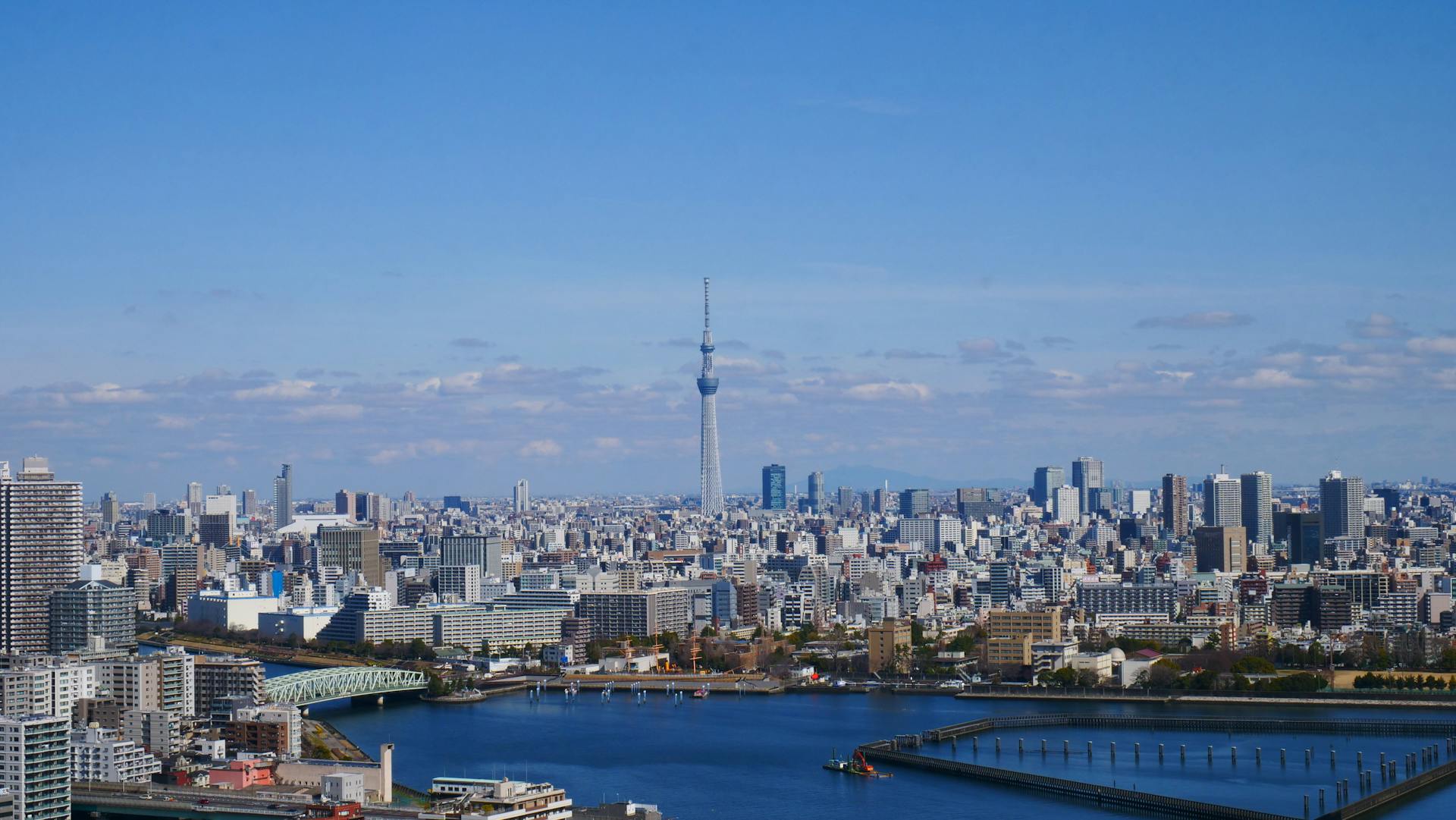 Tokyo Skytree over Buildings in City