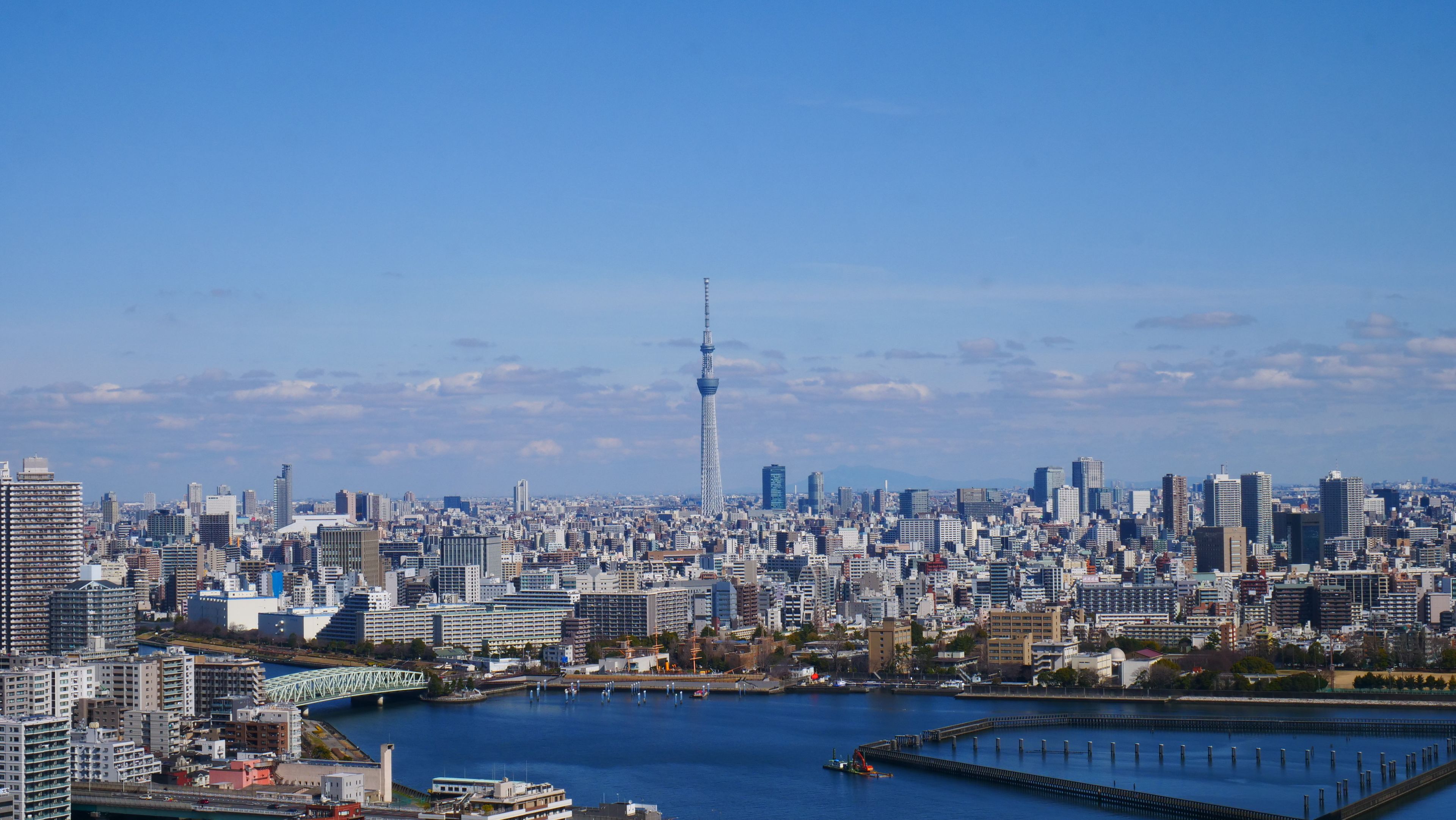 A breathtaking aerial view of Tokyo's skyline featuring the iconic Tokyo Skytree.
