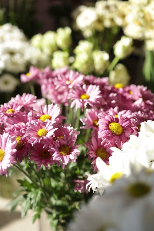 Gratis lagerfoto af blomster, buket, kraftværker