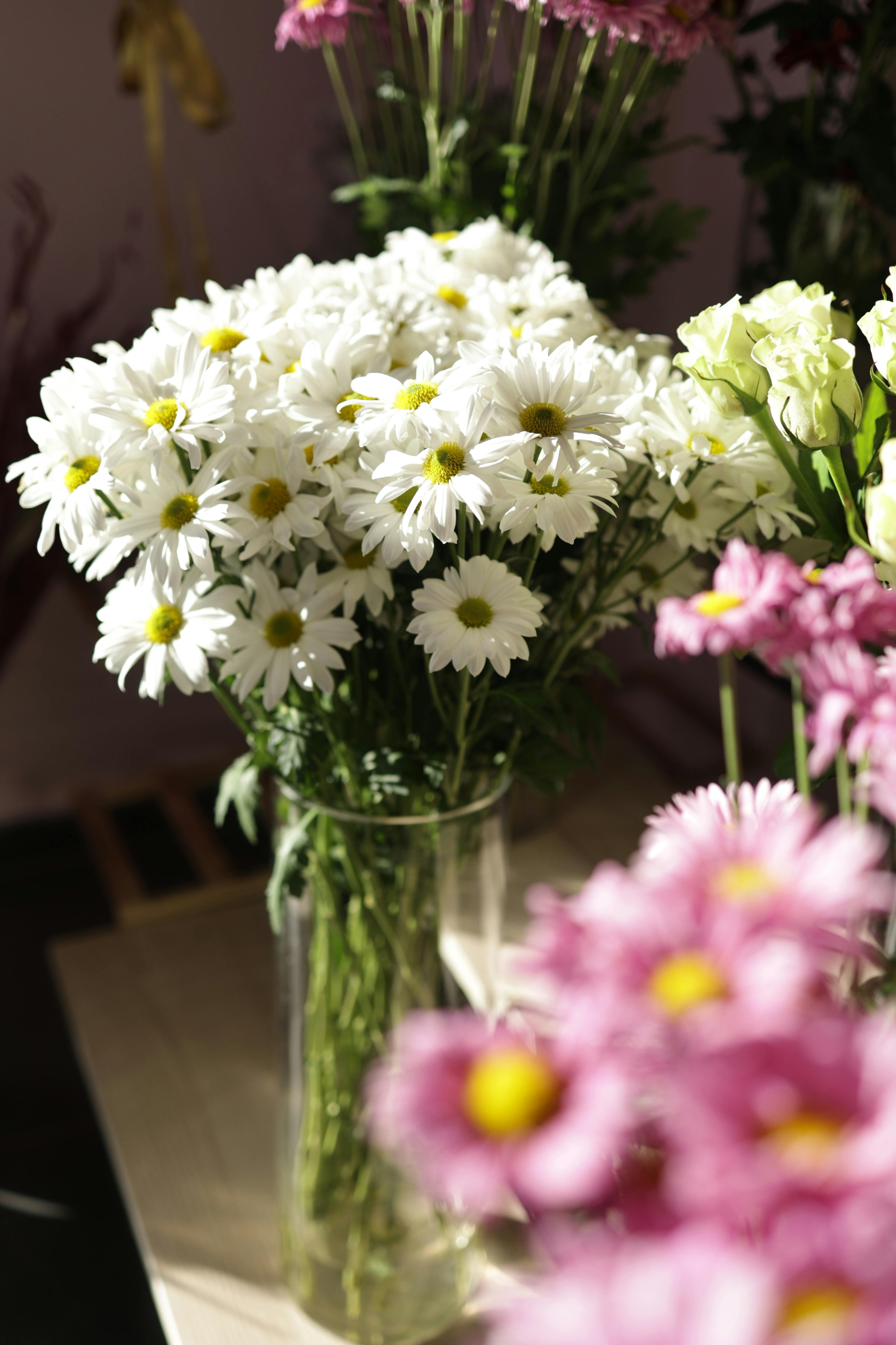 A bright arrangement of daisies and pink flowers in a vase, showcasing elegance.