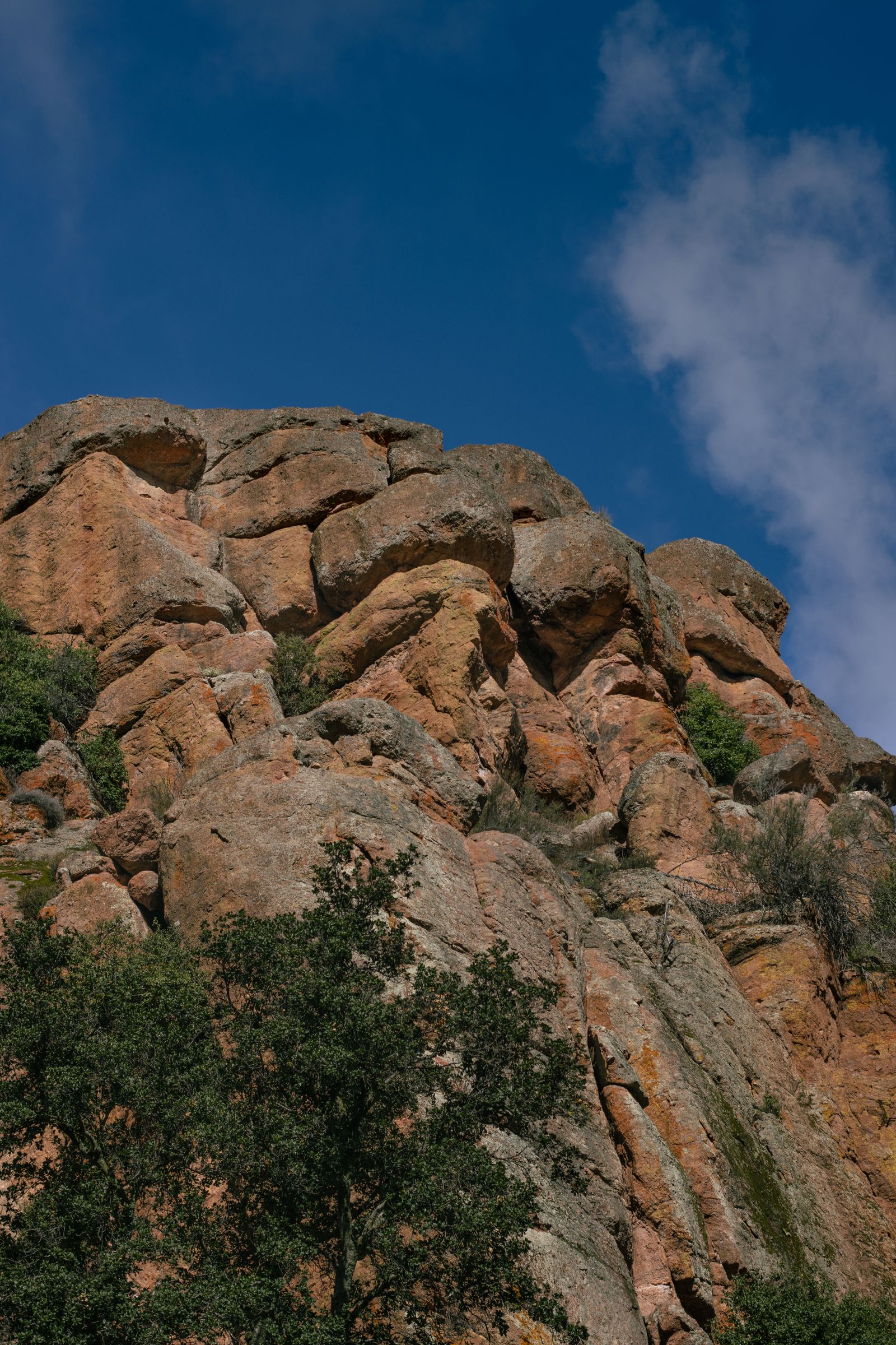 Pinnacles National Park