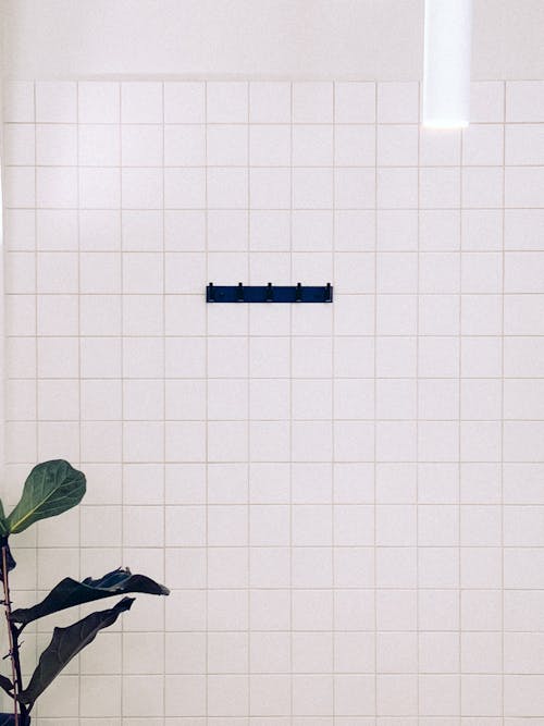 A plant in a white bathroom with a blue bar