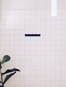 A minimalist bathroom showcases a tiled wall and a single green plant for a simple aesthetic.