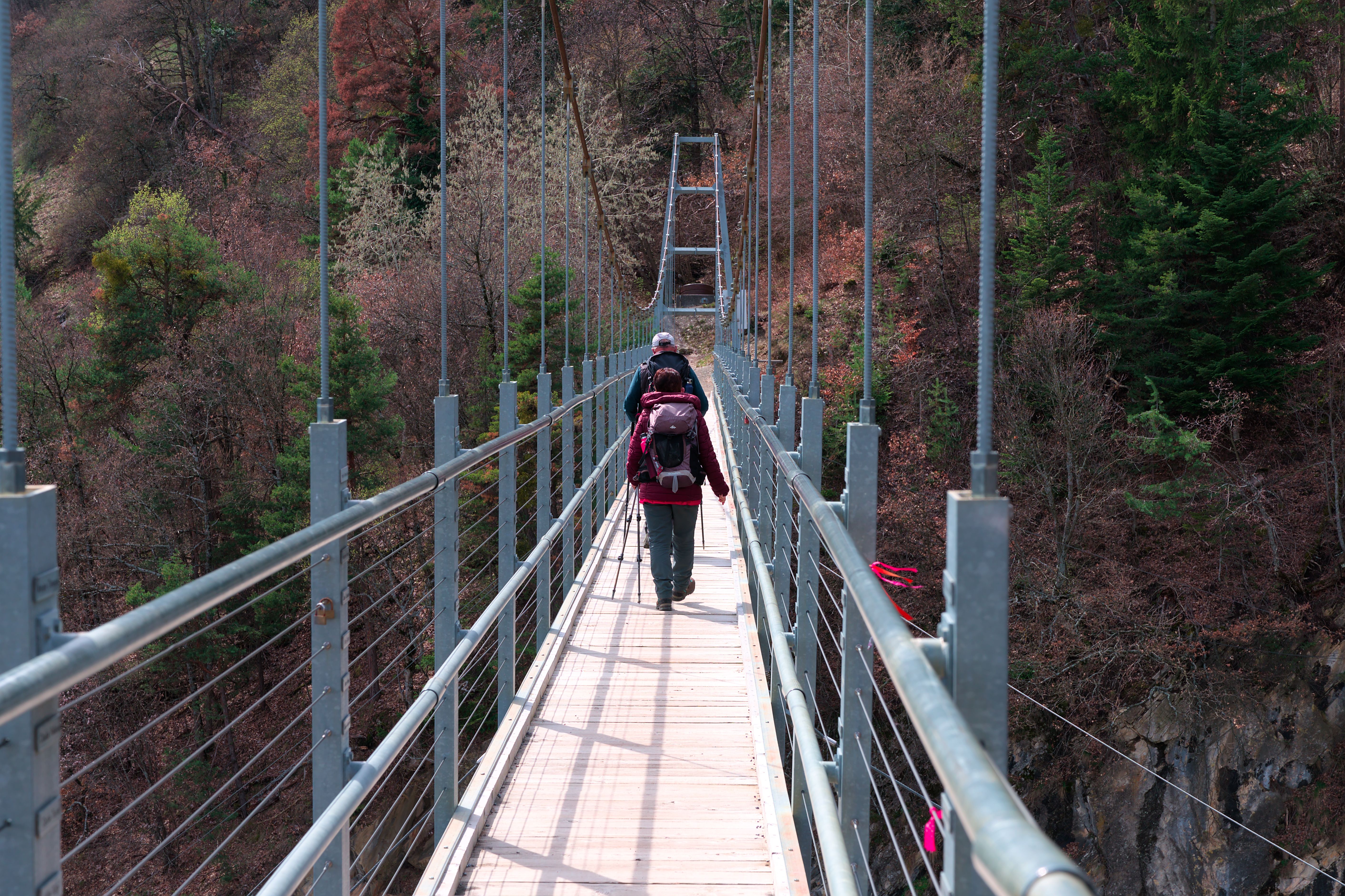 Passerelles suspendues : vues vertigineuses sans frais