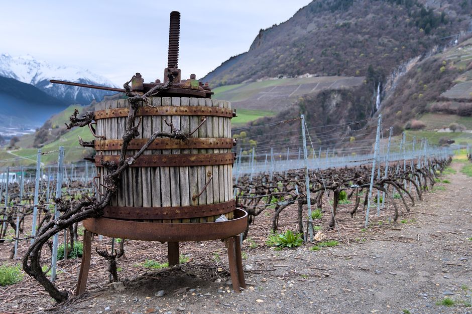 Old wine press amidst grapevines in Leytron, Switzerland, with mountains in the background.