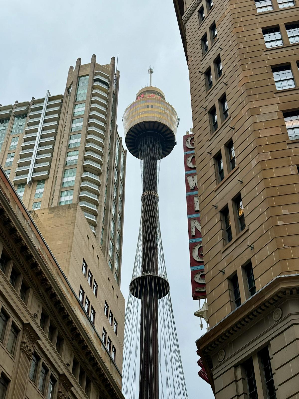 Sydney Tower Eye Photos, Download The BEST Free Sydney Tower Eye Stock Photos & HD Images