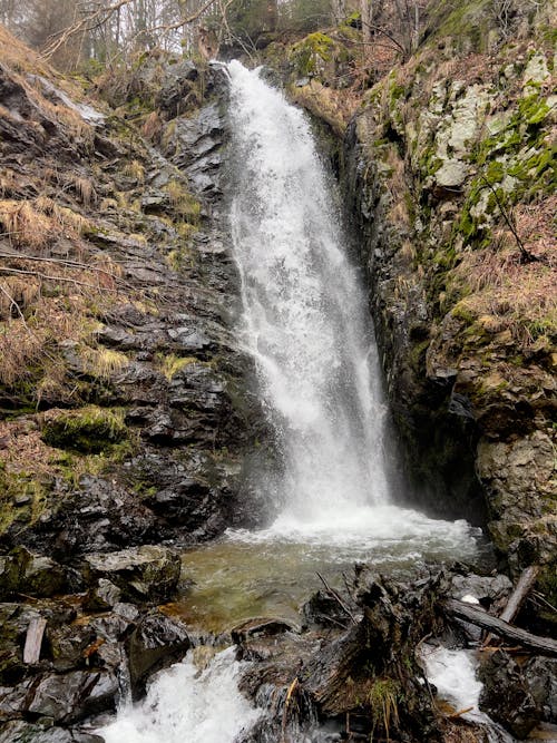 Immagine gratuita di acqua, cascata, foresta