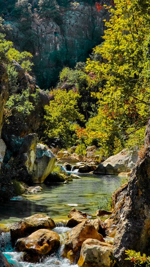 Free Explore the serene beauty of a forest stream in Duhok, Kurdistan, featuring lush greenery and rocky landscapes. Stock Photo