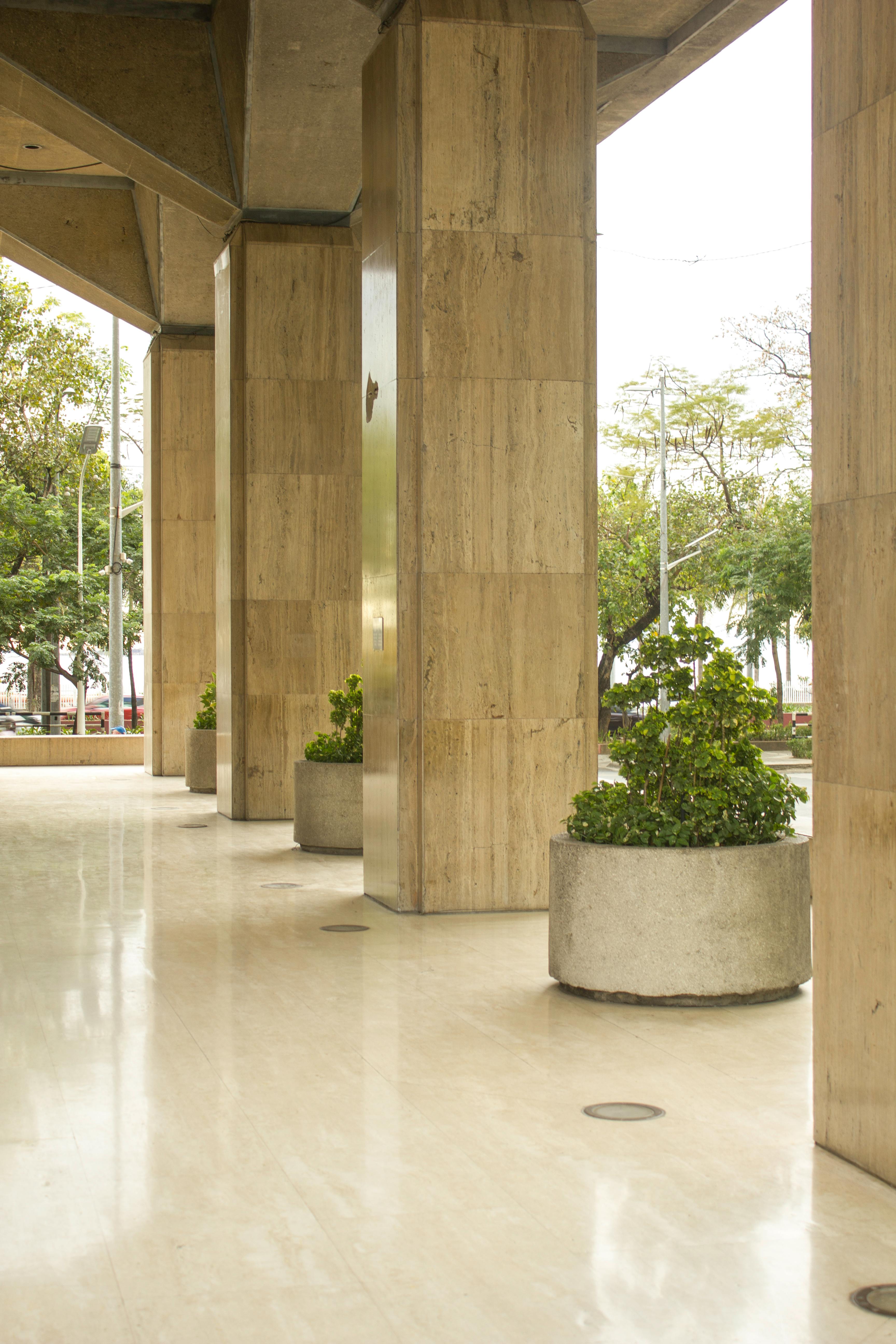 Plants between Columns of Building · Free Stock Photo