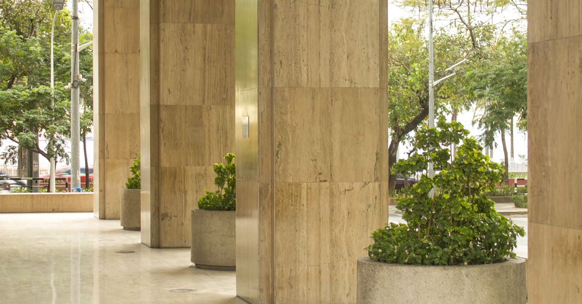 Plants between Columns of Building · Free Stock Photo