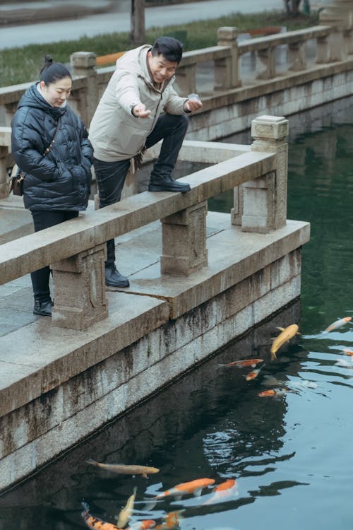 Two people are standing on a bridge looking at fish