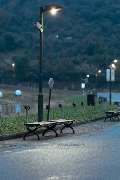 A bench and street lights on a road