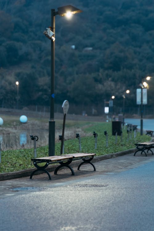 Immagine gratuita di illuminato, lampioni, panchine