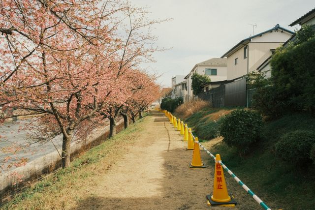 玉川上水