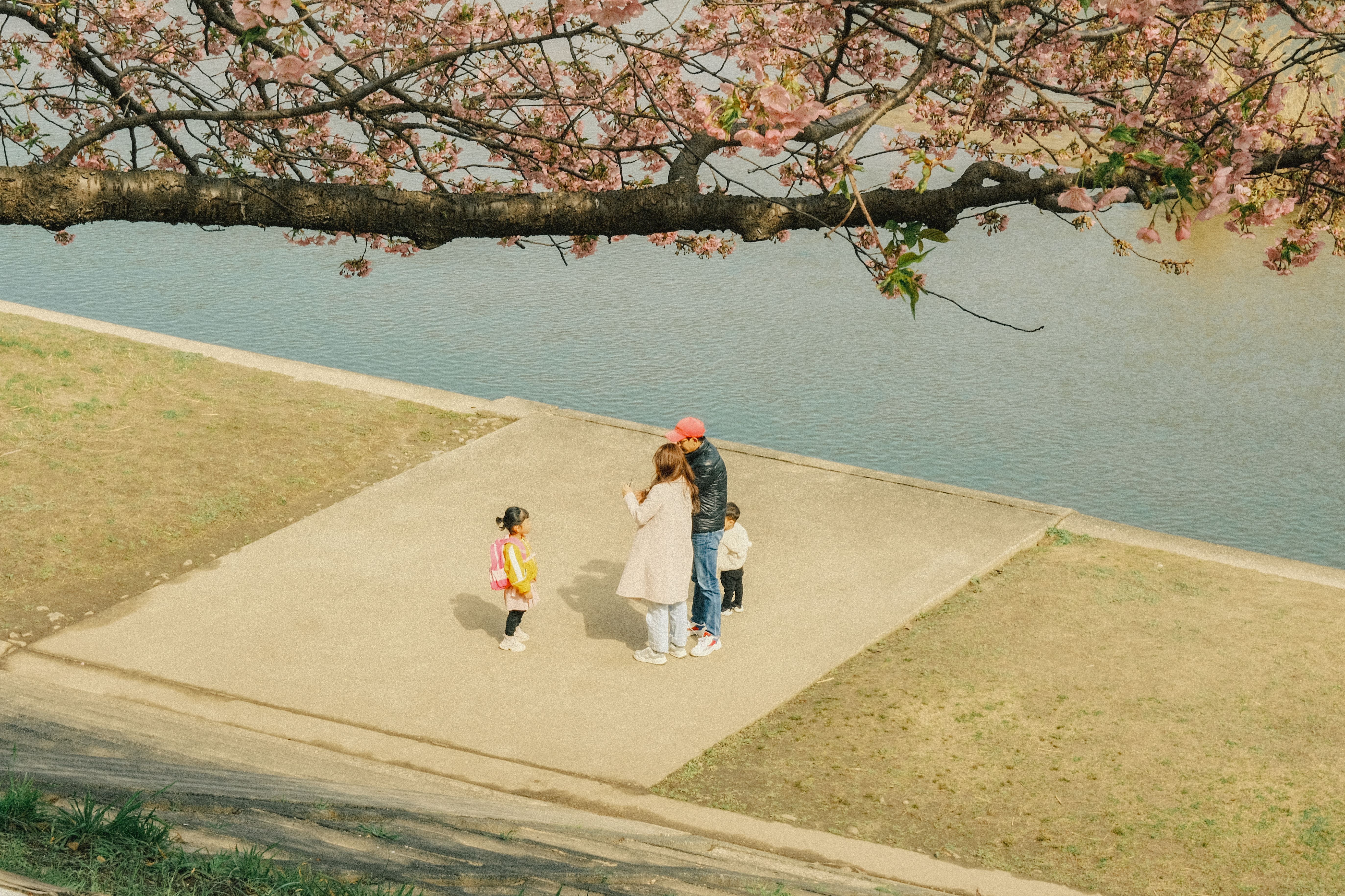 Family gathered under cherry blossoms by a river in Okazaki, Japan.