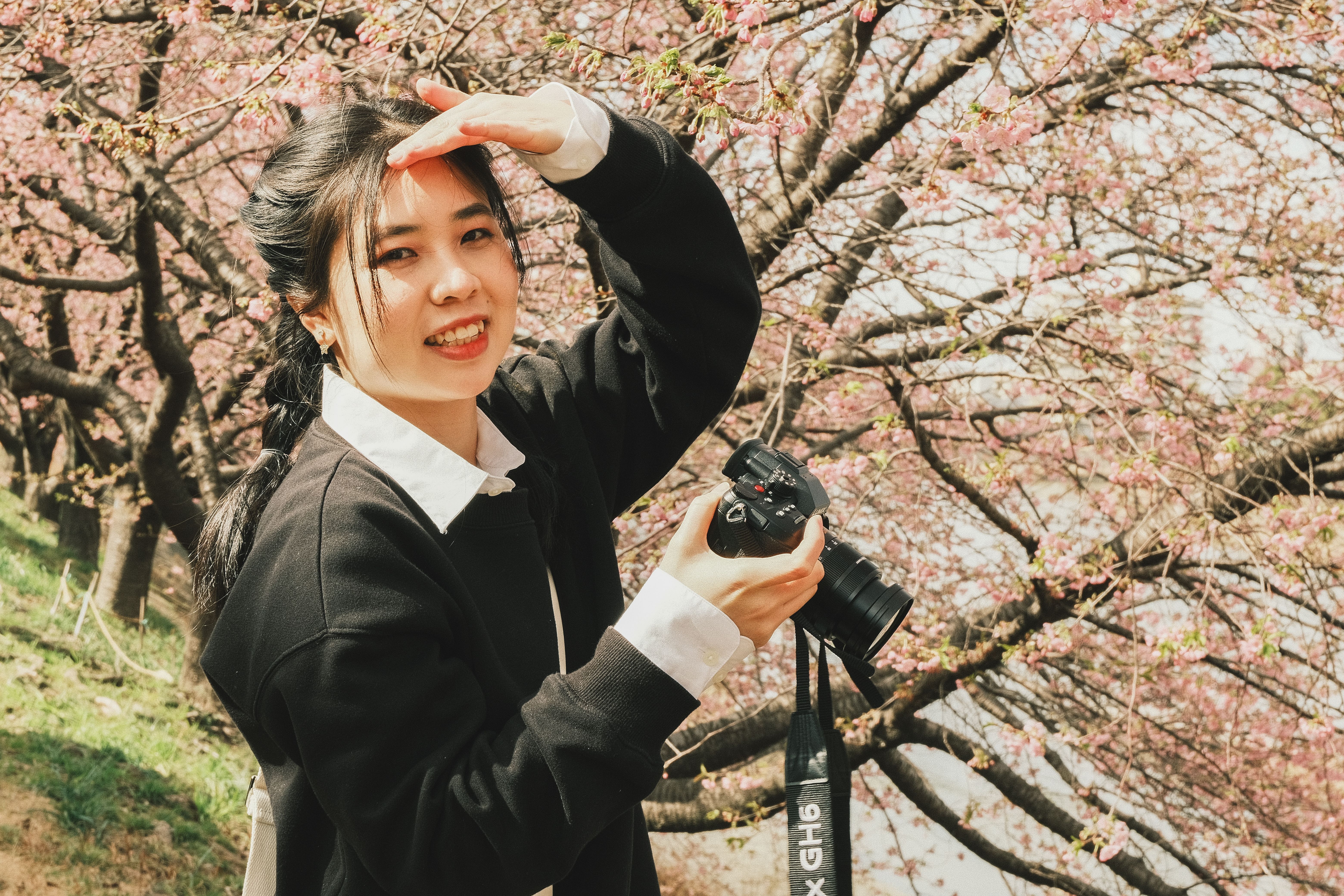 Printemps Japon : Guide Voyage Sakura 2026