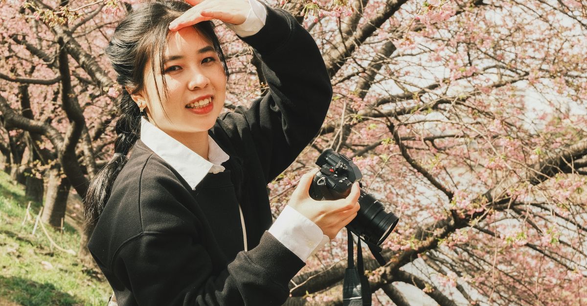 Printemps Japon : Guide Voyage Sakura 2026