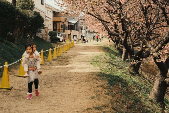봄꽃 산책로 추천 — 벚꽃·유채꽃 시즌 걷기 좋은 길