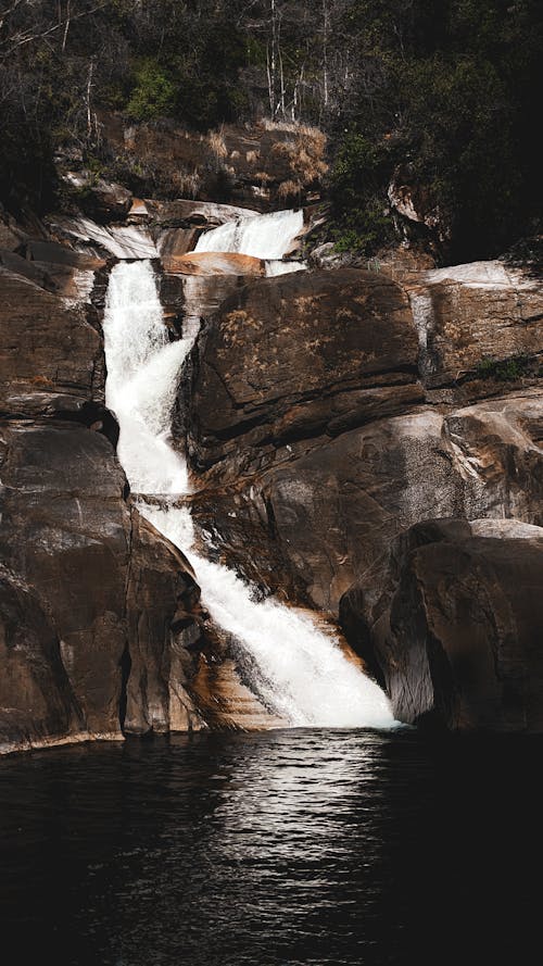 Immagine gratuita di cascata, fiume, foresta