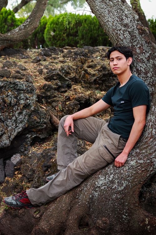 Free Man sitting on tree in a forest setting, captured in Ciudad de México. Stock Photo