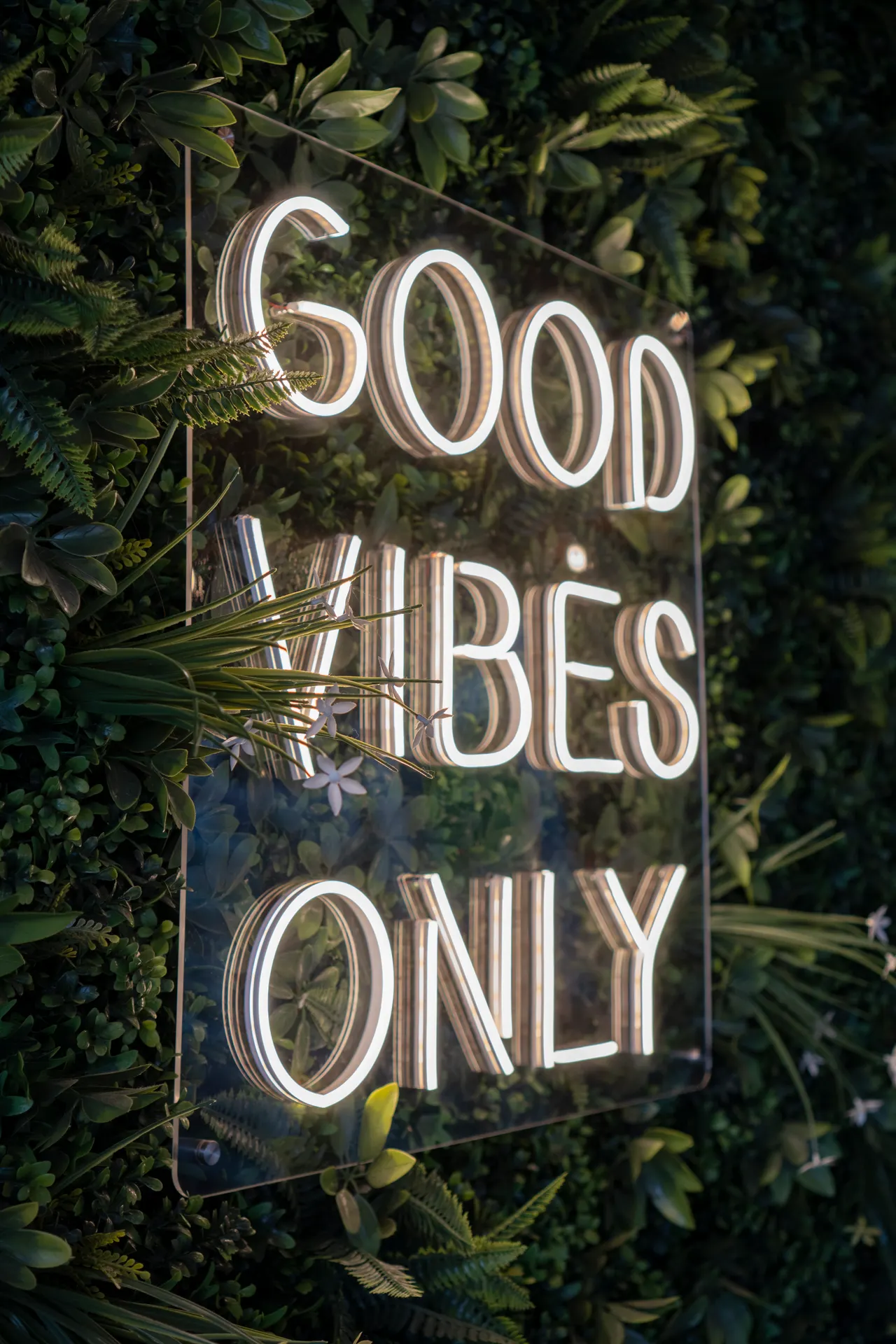 neon-word-sign-wall-decor Neon wall sign reading GOOD VIBES ONLY glowing on a green wall