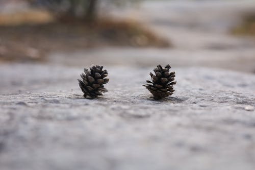 Darmowe zdjęcie z galerii z chodzić, krajobraz, natura