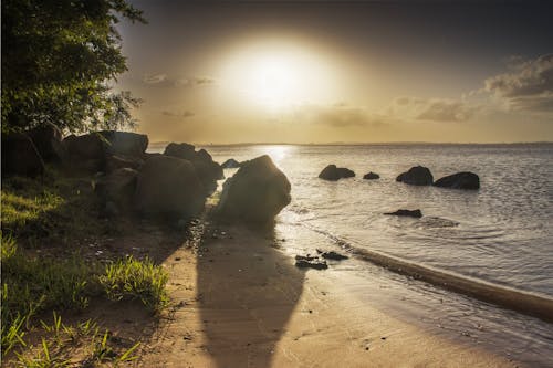 Entre sombras e luz.