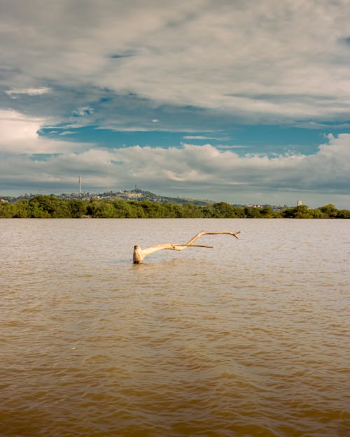 O periscópio