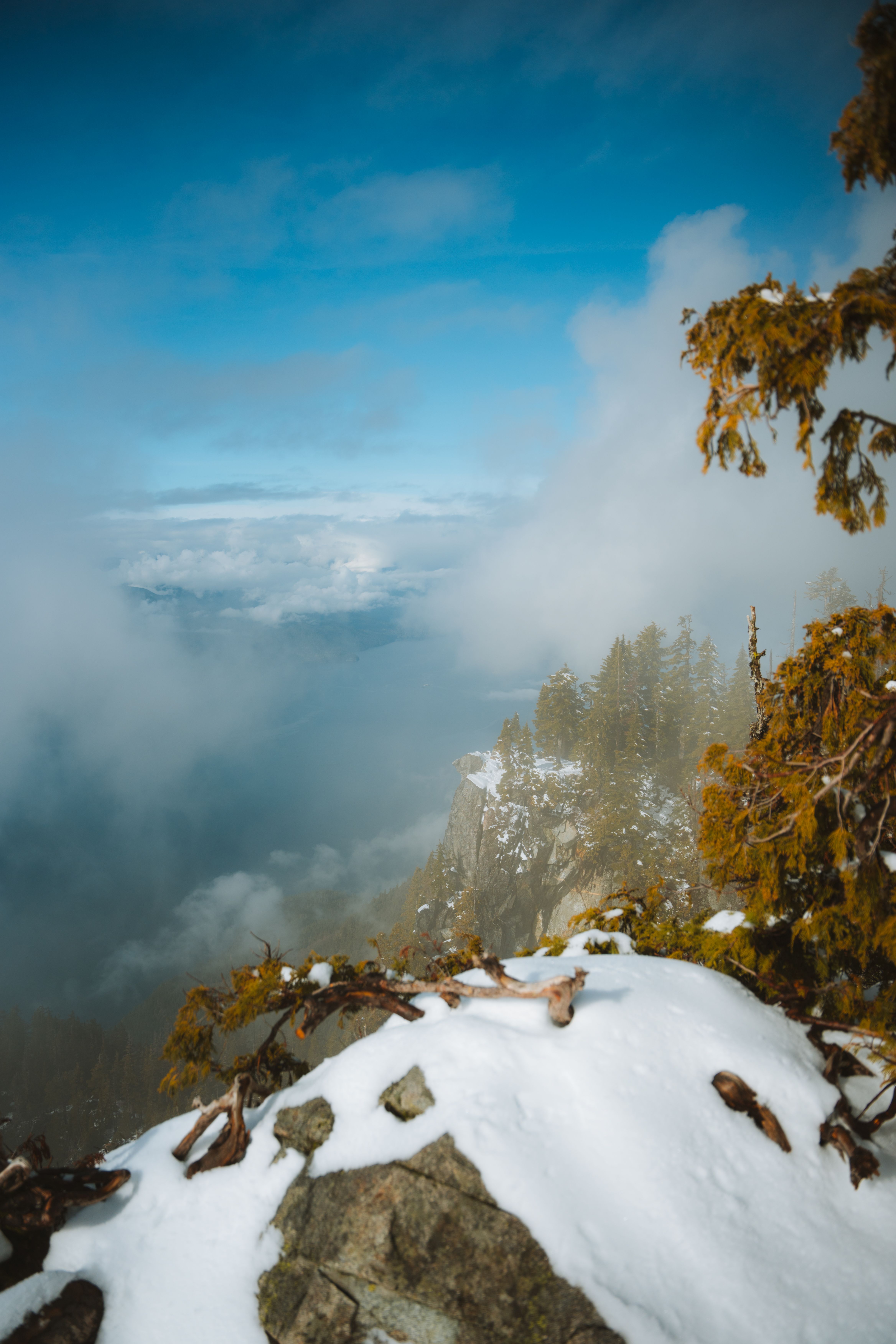 A view of the mountains and snow covered trees · Free Stock Photo