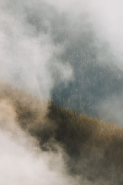 A serene view of a mist-covered forest in a mountainous region, showcasing nature's tranquility.