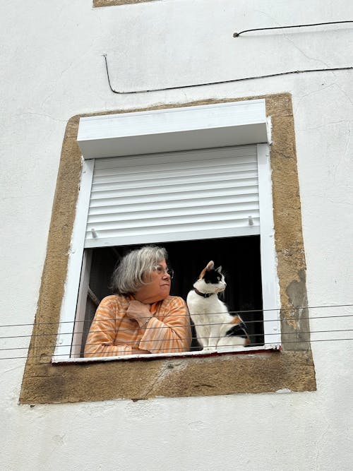 Darmowe zdjęcie z galerii z kobieta, kot, miejski