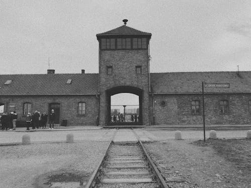 Free stock photo of holocaust, holocaust memorial, moody
