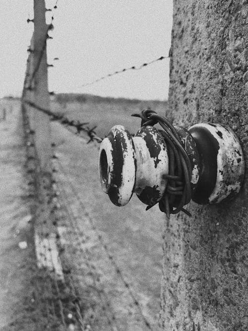 Free stock photo of barbed wire, fence, holocaust