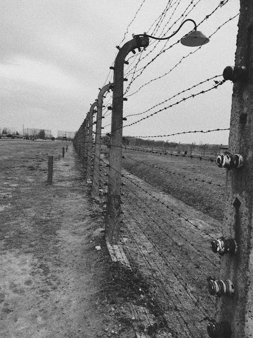 Free stock photo of barbed wire, fence, history