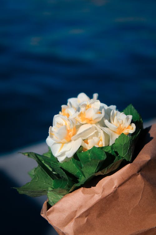 Immagine gratuita di bianco, bouquet, fiori