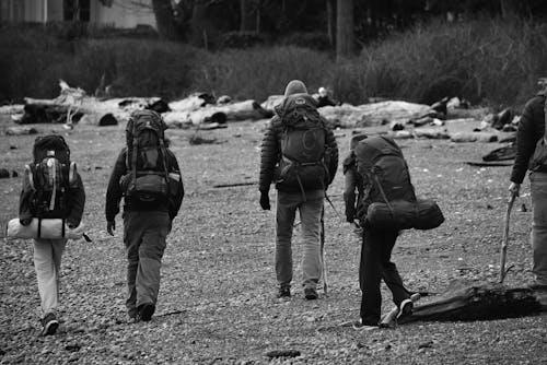 Back View of People Hiking with Backpacks