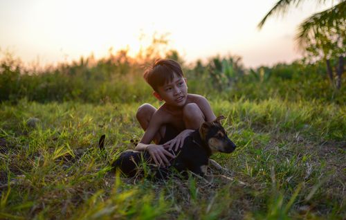 Free A young boy kneels in a field petting his dog during a warm sunset. Stock Photo