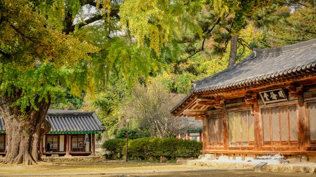 Beautiful autumn scene at Jeonju Hyanggyo with traditional Korean architecture.