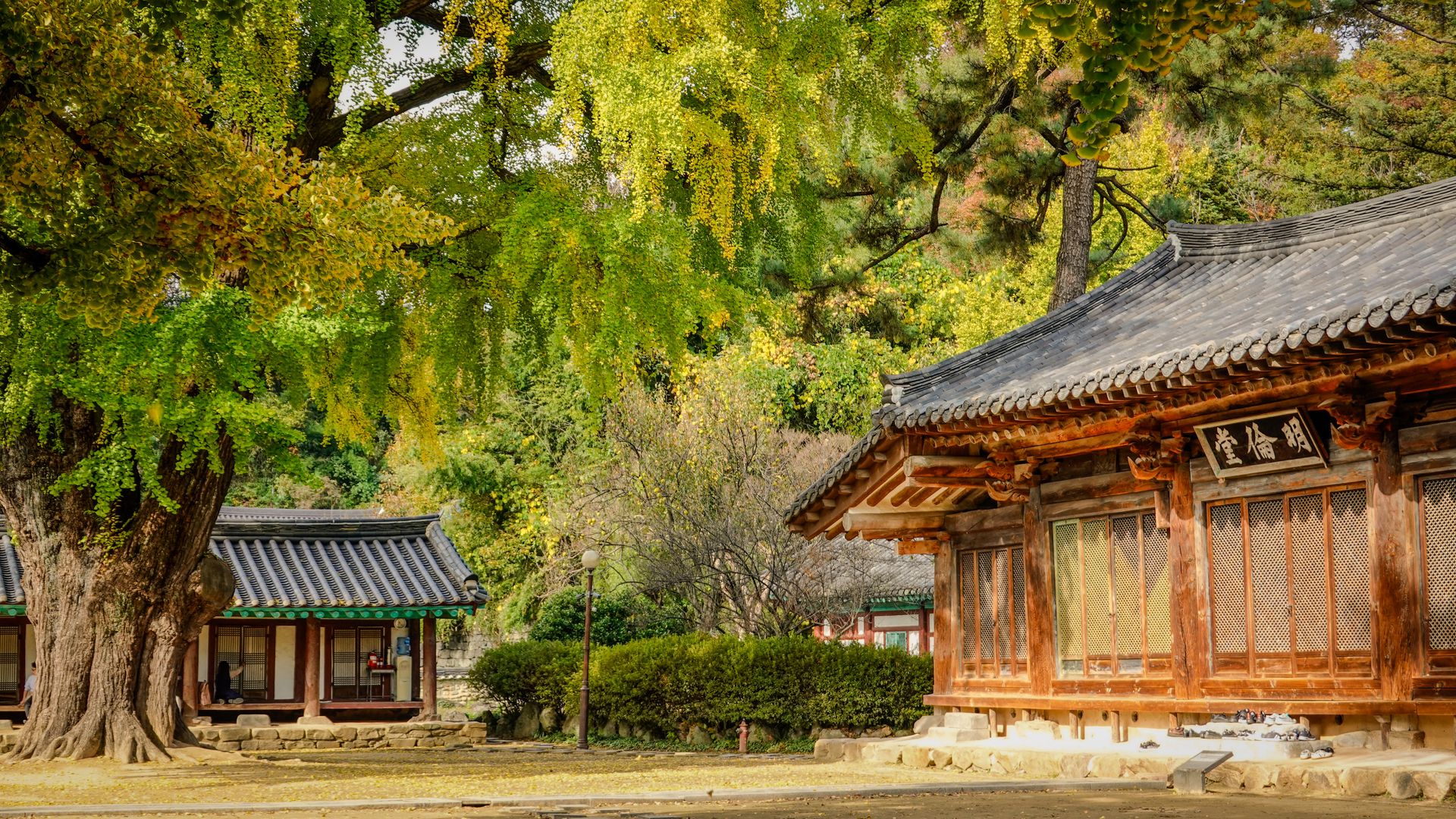 Arsitektur tradisional Jeonju yang memperlihatkan suasana desa budaya Korea saat musim gugur