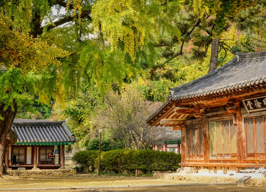 Jeonju, South Korea — sights worth exploring · stay connected with a Jeonju eSIM from My Holiday SIM