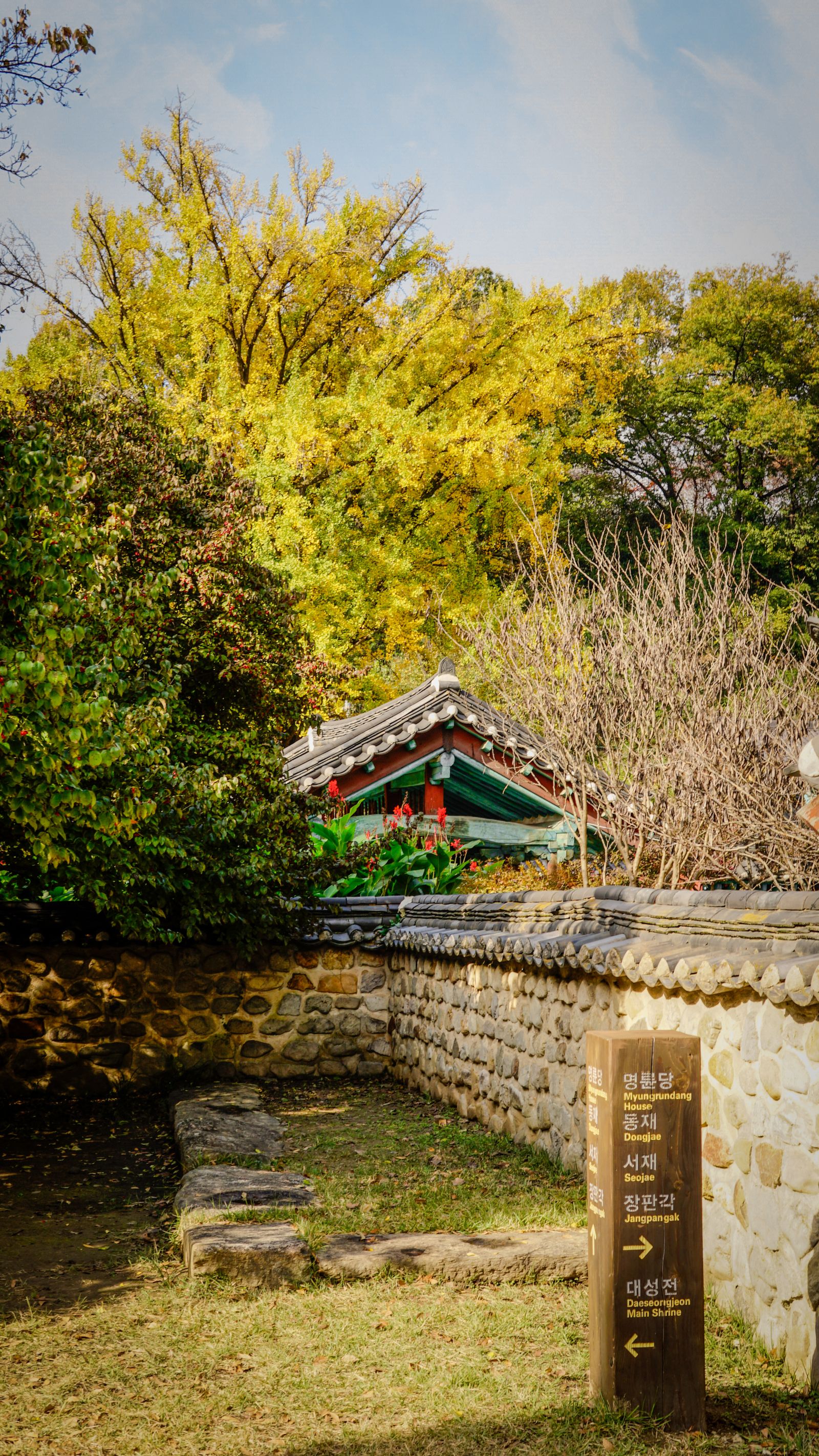 Arsitektur tradisional Seoul dengan daun kuning ginkgo saat musim gugur Korea Selatan 2026