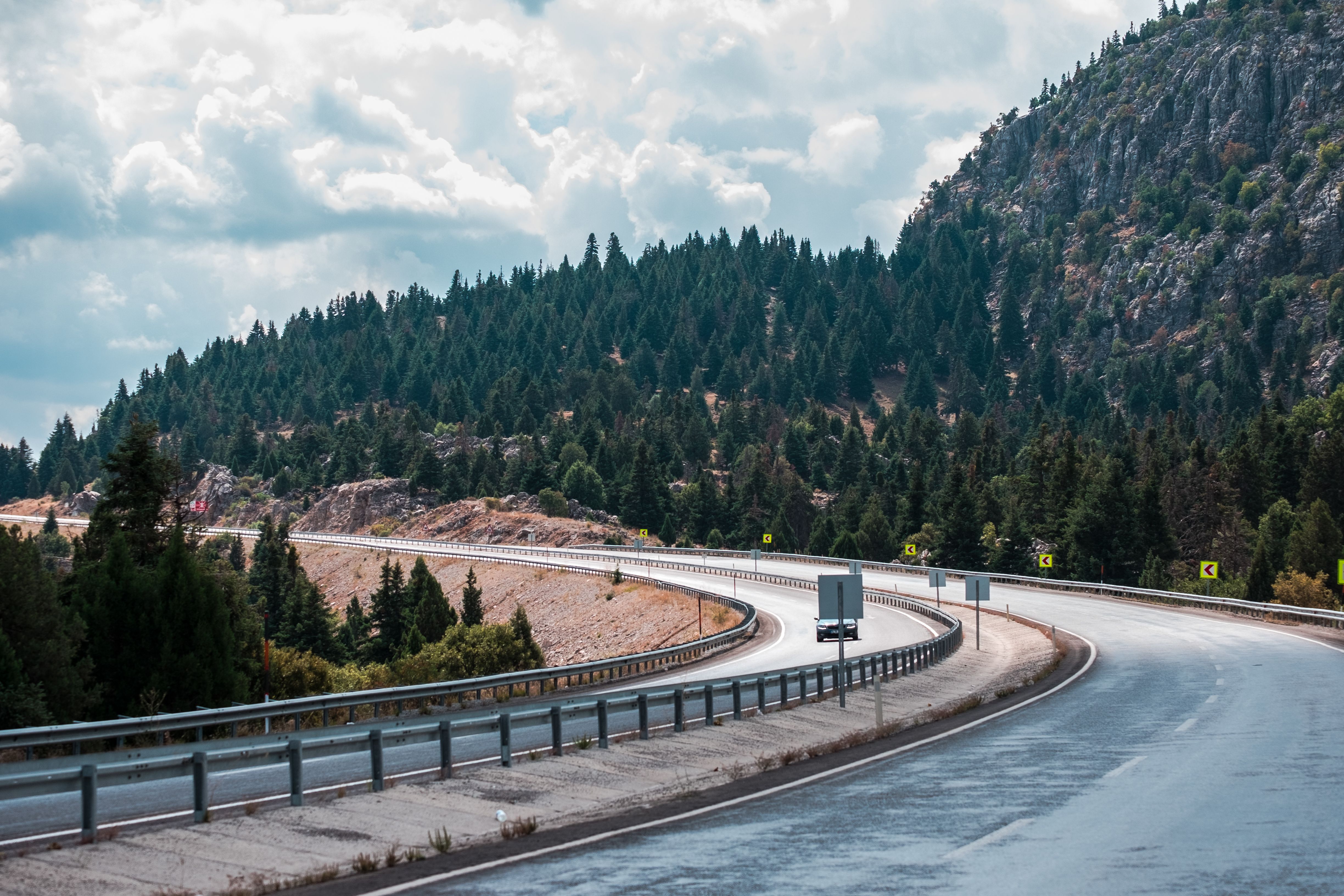 Pine Mountain road through forest, one hour from Khancoban