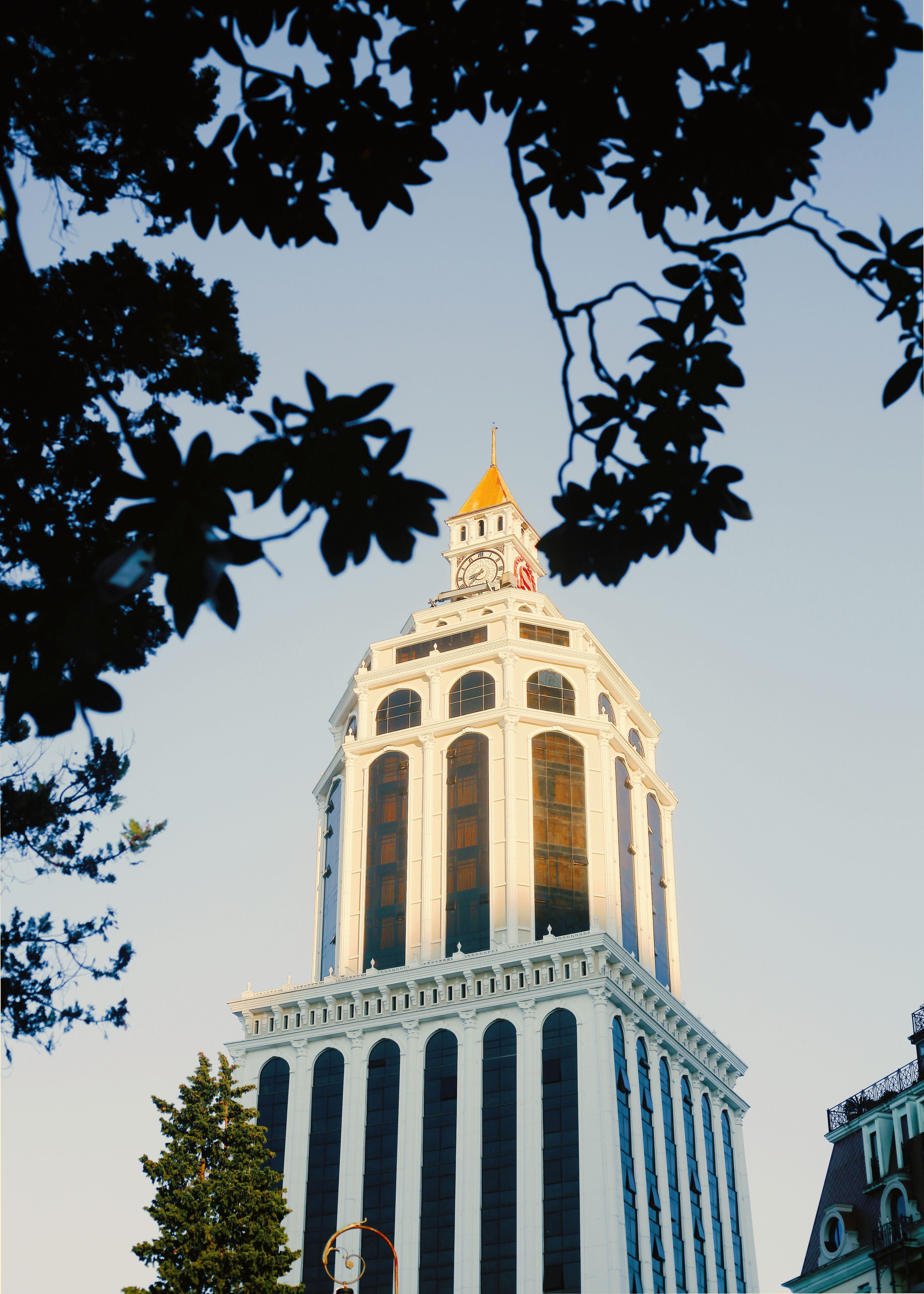 The Sheraton Batumi tower framed by foliage — one of the seafront's luxury hotels