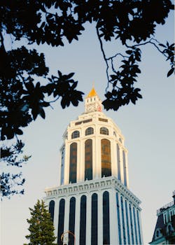Elegant view of Sheraton Batumi Hotel tower framed by foliage in Batumi, Georgia.