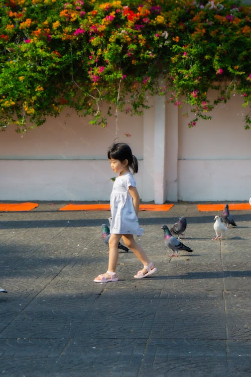 Girl in White Dress Walking among Pigeons