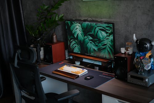 A desk with a computer and a plant on it