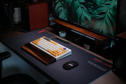 A keyboard and mouse on a desk with a plant