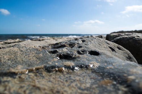 Free stock photo of beach, cloud, elia clerici